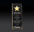 Acrylic Award with etched star