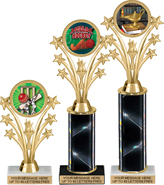 Shooting Star & Torch Insert Trophies