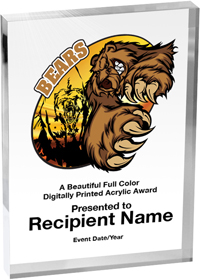Mascots Vibrix Acrylic Award