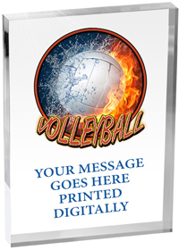 Volleyball Vibrix Acrylic Award