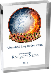 Volleyball Vibrix Acrylic Award