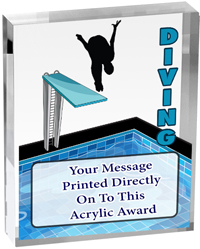 Swimming Vibrix Acrylic Award