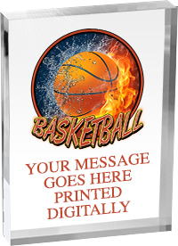 Basketball Vibrix Acrylic Award