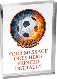 Soccer Vibrix Acrylic Award