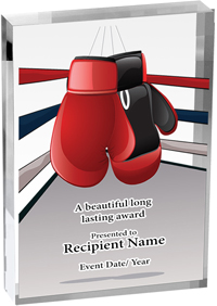 Boxing Vibrix Acrylic Award