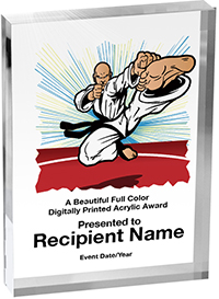 Martial Arts Vibrix Acrylic Award