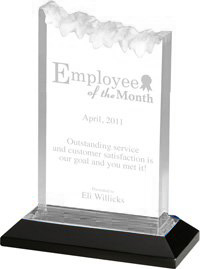 Acrylic Frosted Award with Reflective Bottom- Silver 7 inch