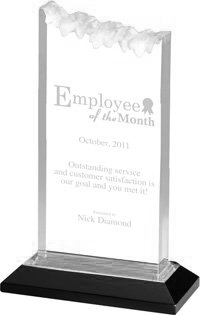 Acrylic Frosted Award with Reflective Bottom- Silver 8 inch