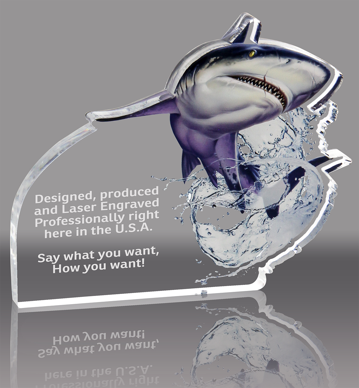 Shark Acrylic Award- 7.5x6.2 inch