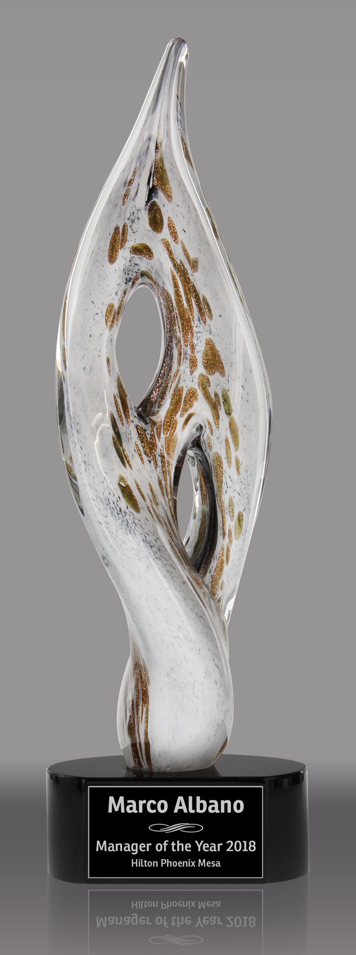 Twisted Infinity Glass Award