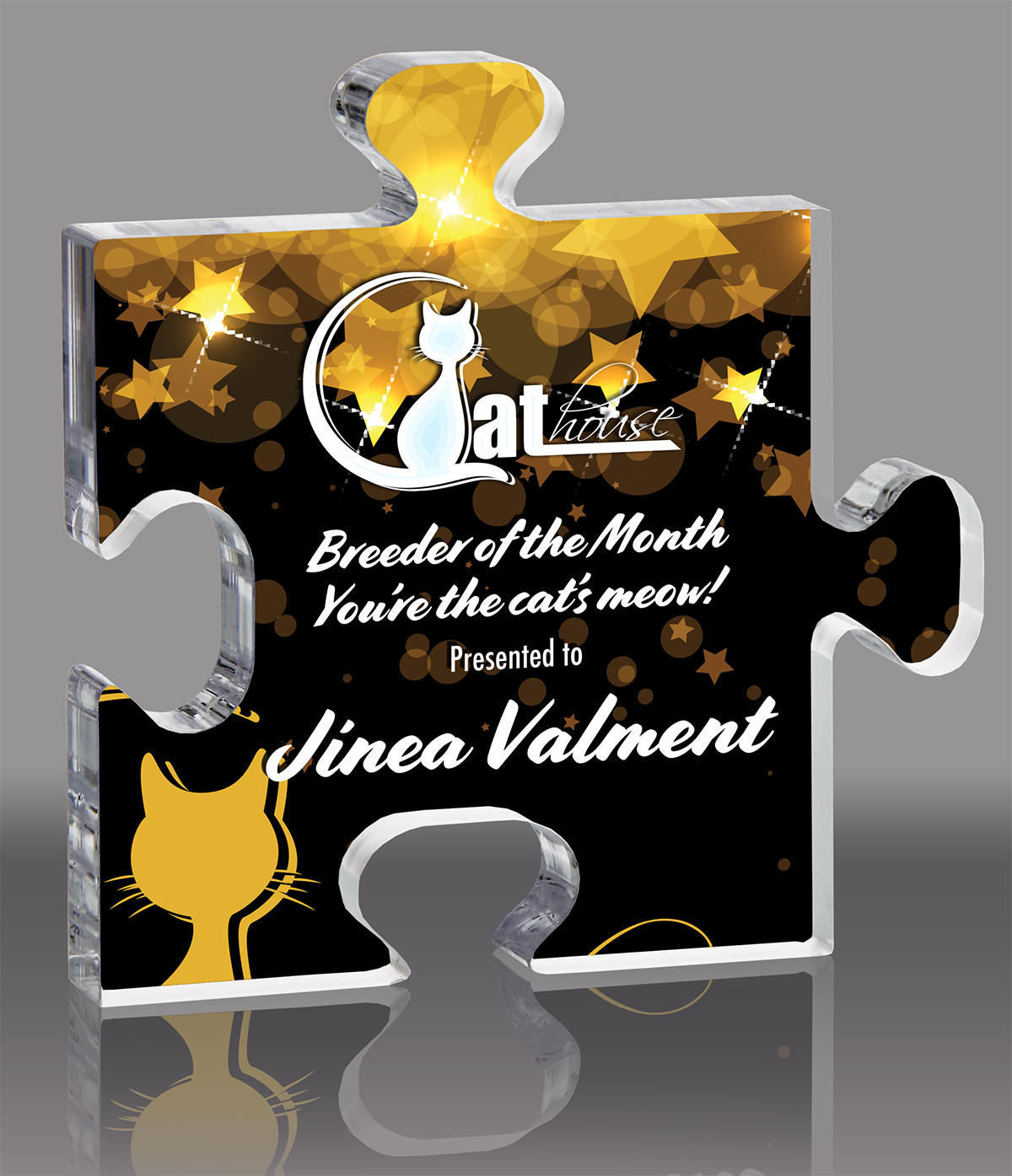 Puzzle Piece Full Color Acrylic Award - 5.25 inch