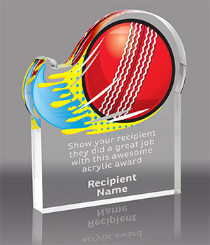 Cricket Splatters Acrylic Award- 3x4 inch