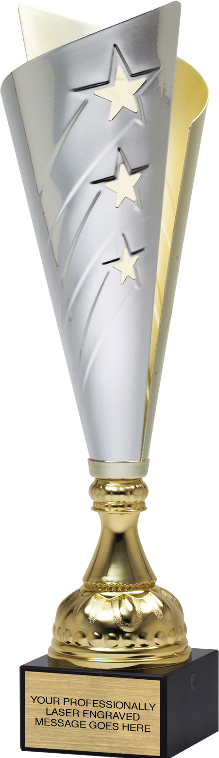 Silver Split Cup with Gold Stars