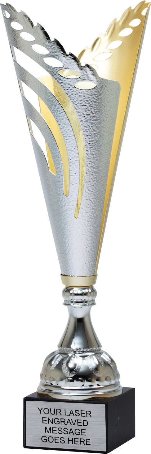 Two-Tone Silver & Gold Split Cup