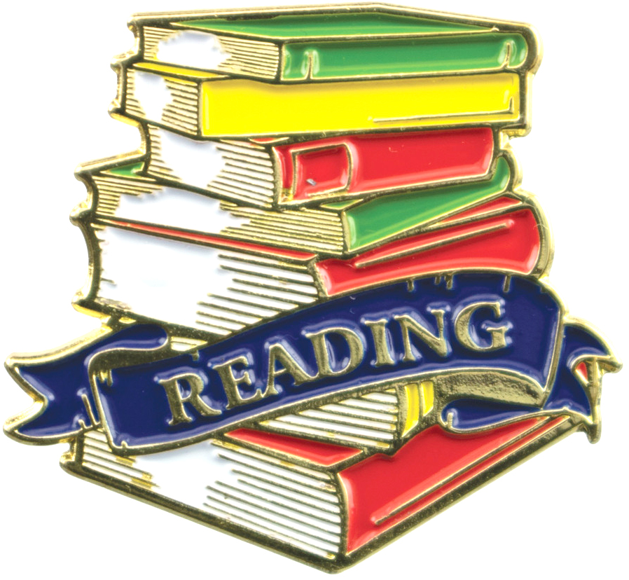 Reading Academic Lapel Torch Pin