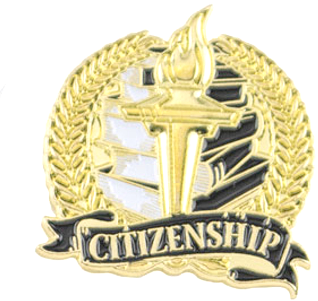 Citizenship Academic Lapel Torch Pin