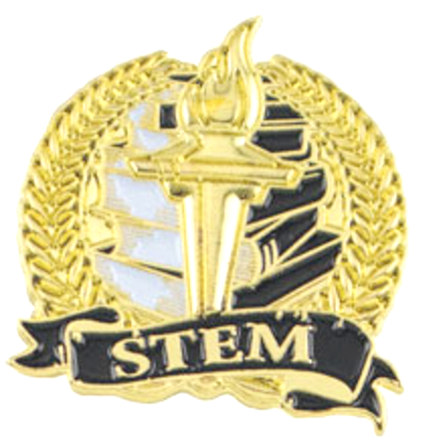 STEM Academic Lapel Torch Pin