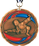 Martial Arts Epoxy Color Medal - Bronze