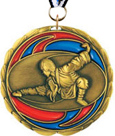 Martial Arts Epoxy Color Medal - Gold