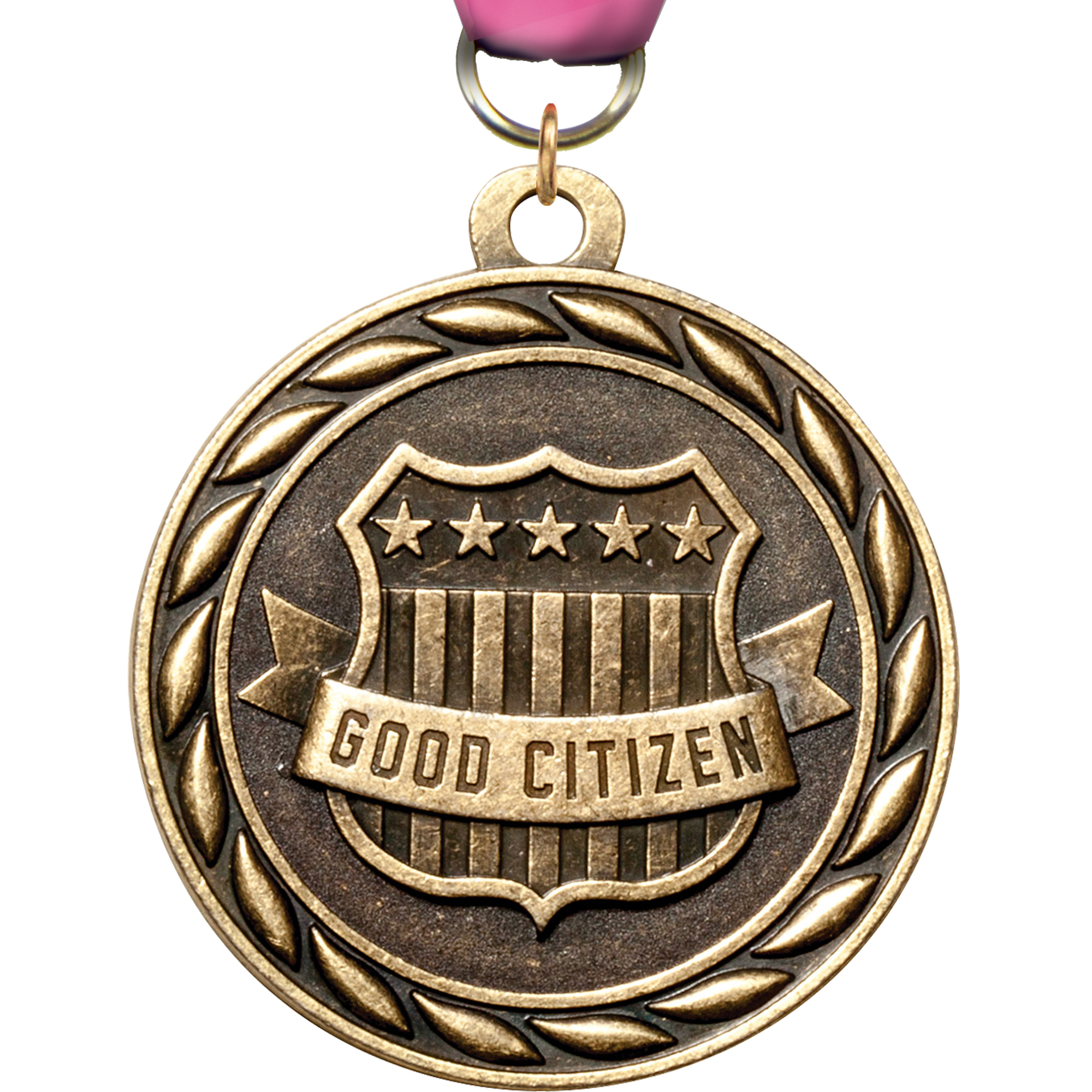 Good Citizen Scholastic Medal- Gold