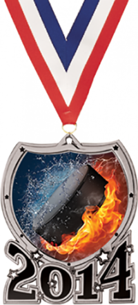 2014 Shield Insert Medal- Silver