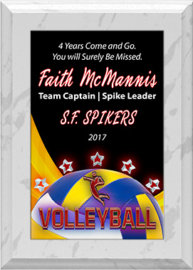 Volleyball ColorPlate Plaque