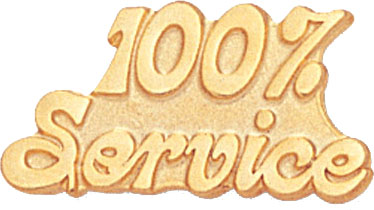 100% Service Gold Pin