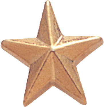 Gold Star Pin