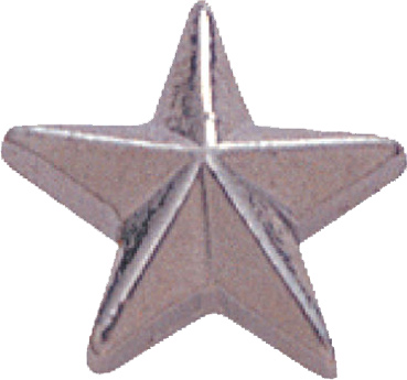 Silver Star Pin