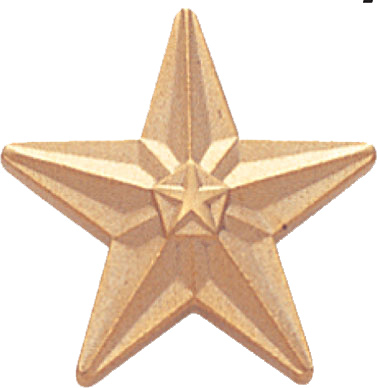 Gold Star Pin