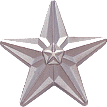 Silver Star Pin