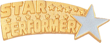 Star Performer Gold Pin