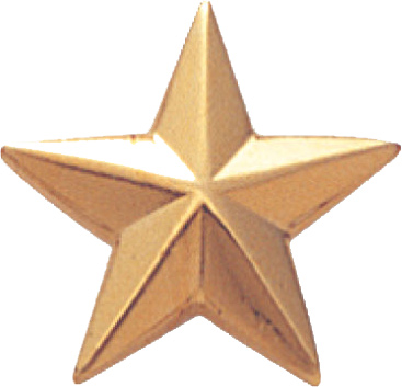 Stars - 3/4 Inch Gold Pins From TrophyCentral, Stars - 3/4 Inch Gold Pin
