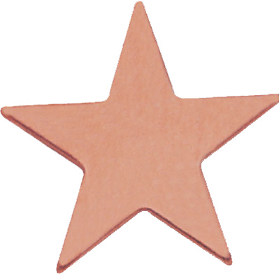 Bronze Flat Star Pin
