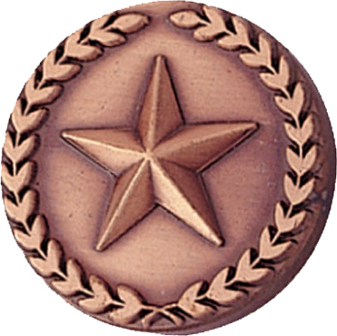 Bronze Wreath Framed Star Pin