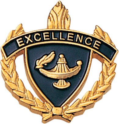 Excellence 3D Enameled Scholastic Pin