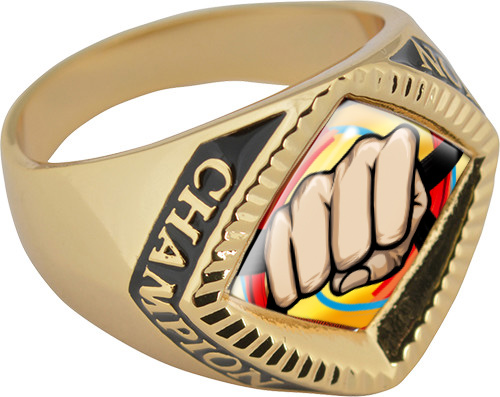 Martial Arts Chevron Champion Domed Insert Ring- Gold