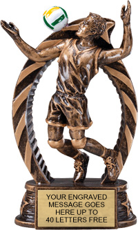 Volleyball Male Star Flame Resin Trophy