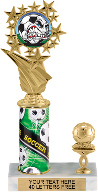 Star Frame Color Insert Trophy with 1 Trim