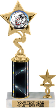 Star Color Insert Trophy with 1 Trim