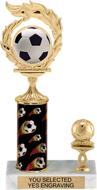 Wreath Framed Color Insert Trophy with 1 Trim