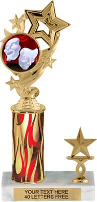 4 Star Color Insert Trophy with 1 Trim