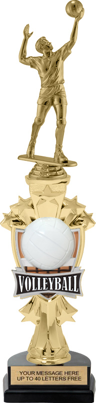gold star swirl volleyball trophy resin 55818GS 