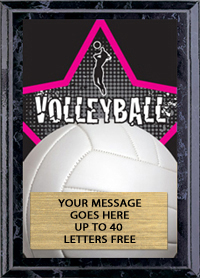 Volleyball Female Full Color Star Plaque - Trophy Depot