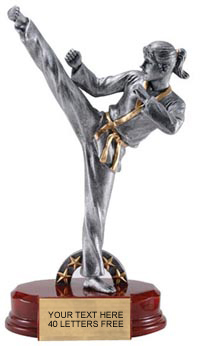 Martial Arts Silver Resin on Piano Finish Base - Female