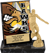 Hawks Mascot Billboard Plaque