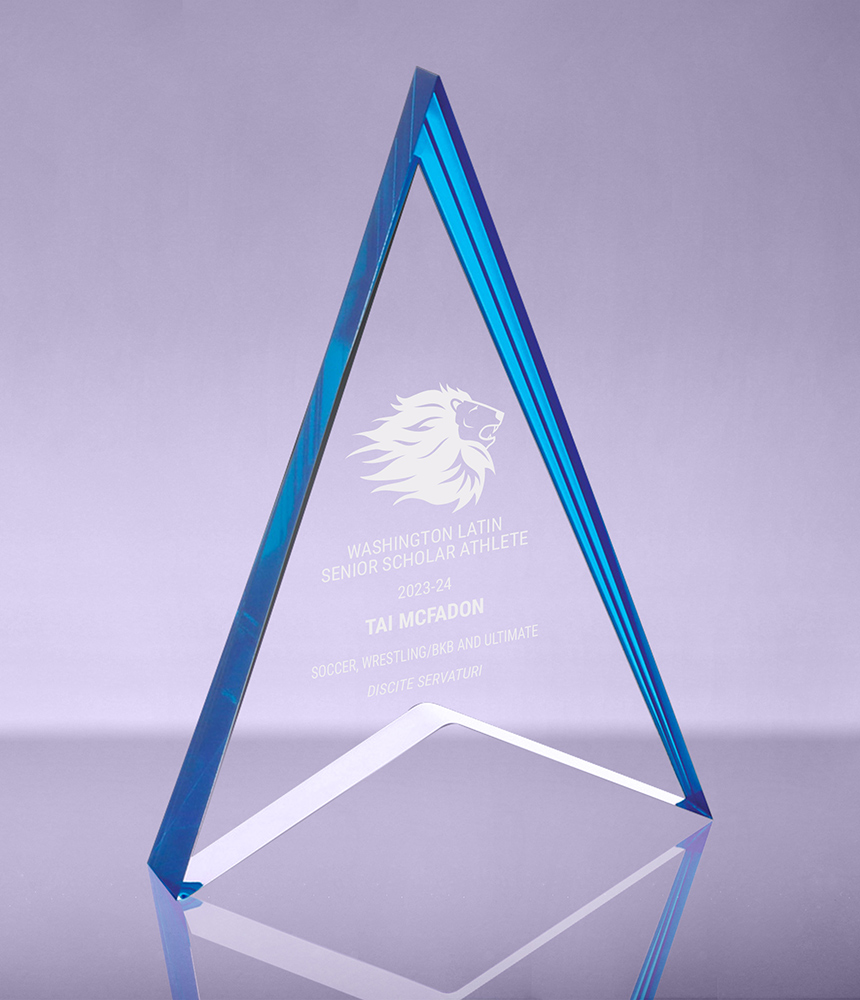 Spearhead Acrylic Award with Blue Reflective Accents - 7 inch
