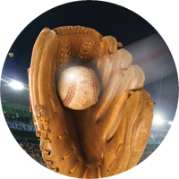 Baseball- Glove Insert