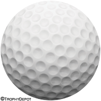 Golf Ball Insert
