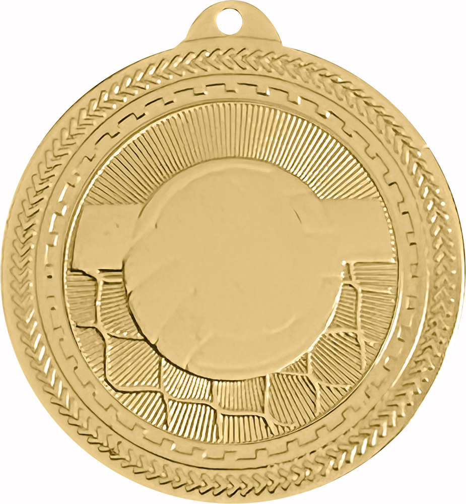 Volleyball Britelazer Medal